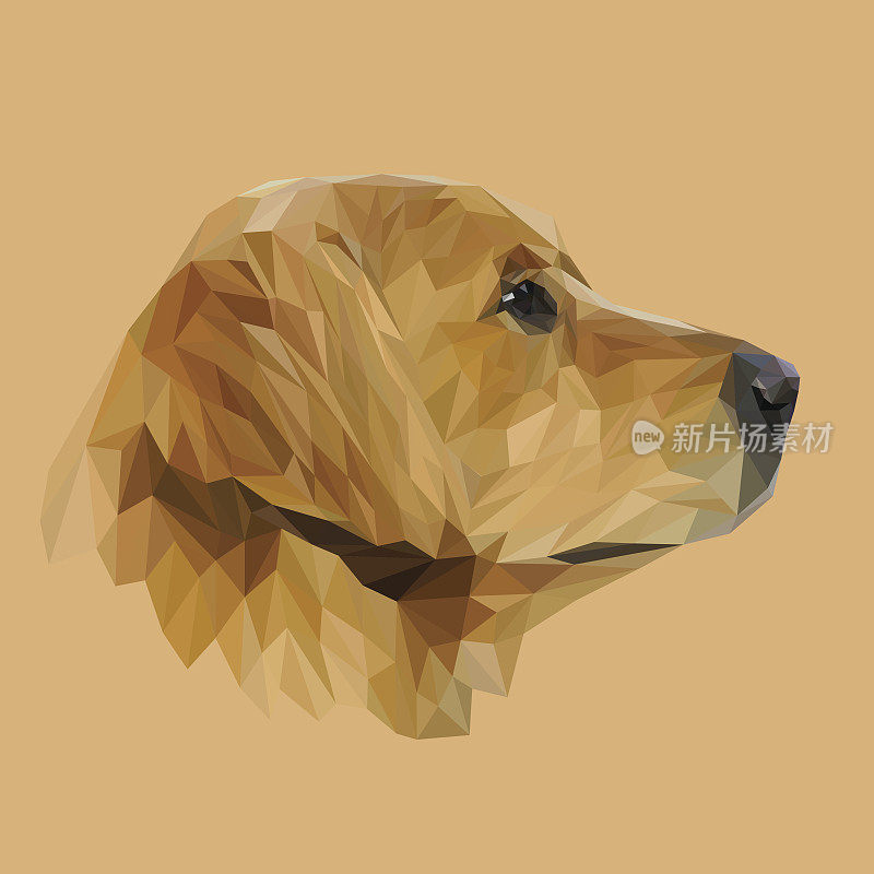 金毛犬动物低聚设计。三角形矢量插图。