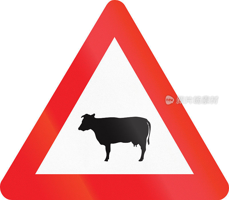 比利时警告路标-牲畜过马路
