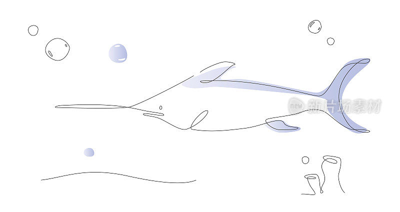 一行行剑鱼插图。海洋生活线艺术向量。独角鲸鱼的轮廓