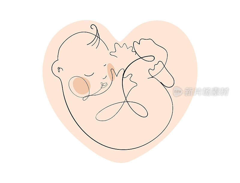 婴儿在子宫里呈心形，新生儿对着粉红色的心形，一个母性的线性图标，怀孕。象征儿科学、儿童医院、妇产医院。向量孤立的插图。