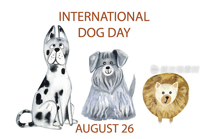水彩插图三个字符狗，大丹犬，雪纳瑞和斯皮兹，铭文国际狗日