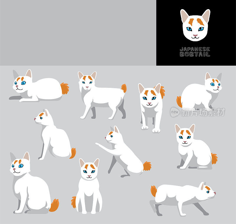 猫日本短尾卡通矢量插图颜色变化集