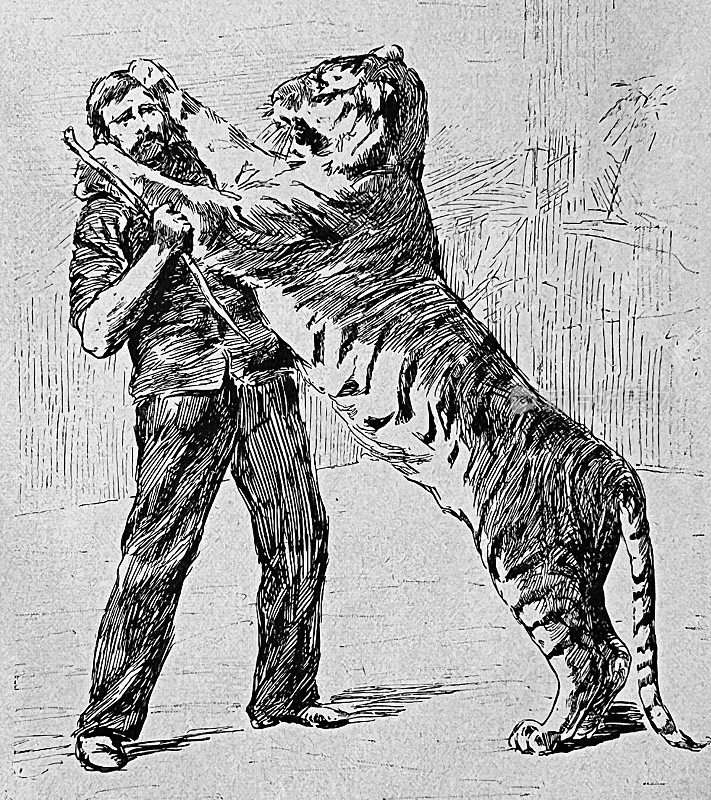 马戏团里的动物训练:一只狮子站在一个人旁边，抓住他的肩膀