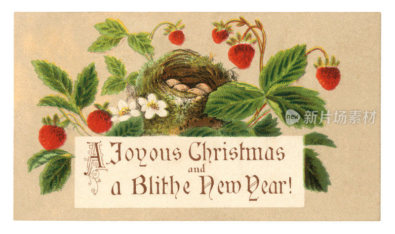 维多利亚时代的圣诞和新年贺卡，上面有草莓和燕窝，1876年