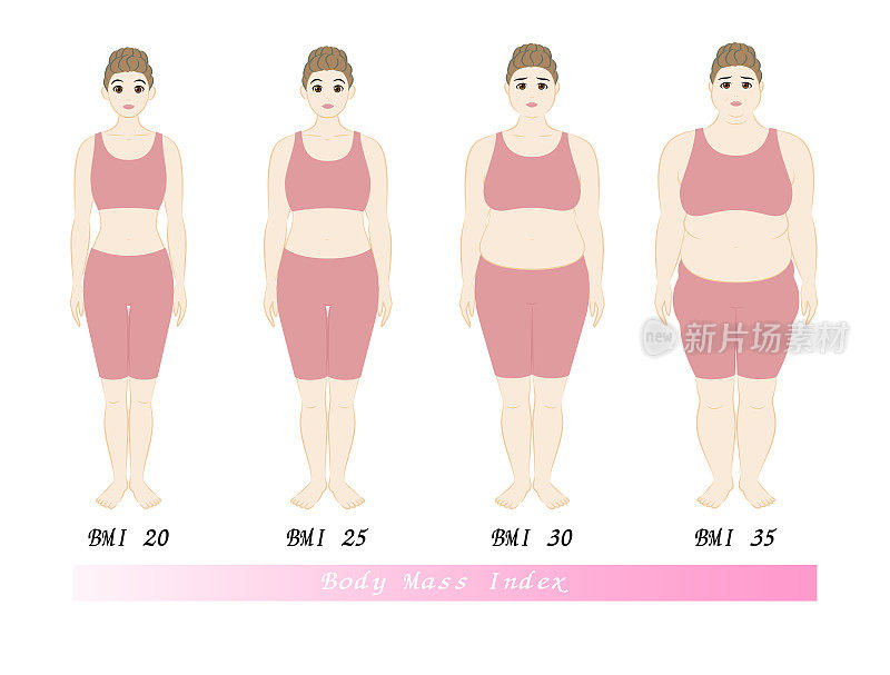 一个胖女人减肥前后的矢量图。健康的生活方式。根据BMI指数，年轻女性的体型变化