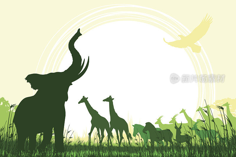非洲狩猎背景，有喇叭大象，长颈鹿，斑马和羚羊