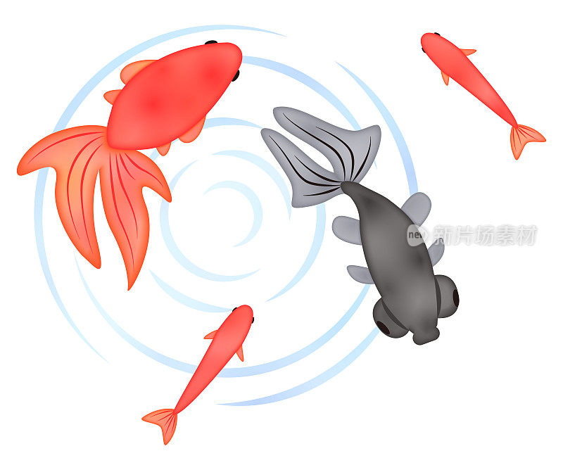 金鱼水彩插画风格