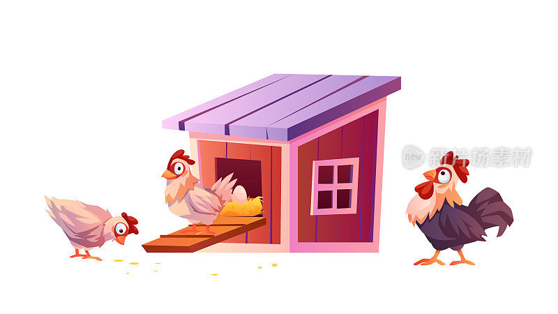 鸡舍，卡通鸡舍，隔离鸡和公鸡。病媒小鸡在巢中携带蛋，母鸡农场插图。家禽饲养场，家鸟舍。鸡舍，养鸡农业概念