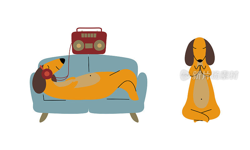 漫画棕色腊肠狗懒洋洋地躺在沙发上，用耳机听音乐，坐在莲花瑜伽姿势向量集