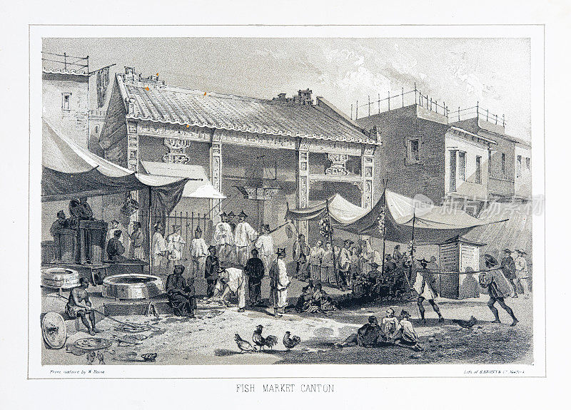 鱼市广彩平版1856年