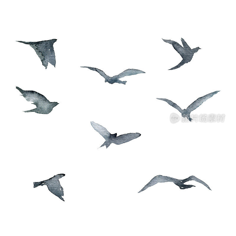 水彩画动物卡片抽象的蓝鸟在天空。手绘户外插图孤立的白色背景。用于设计、印刷、织物或背景。