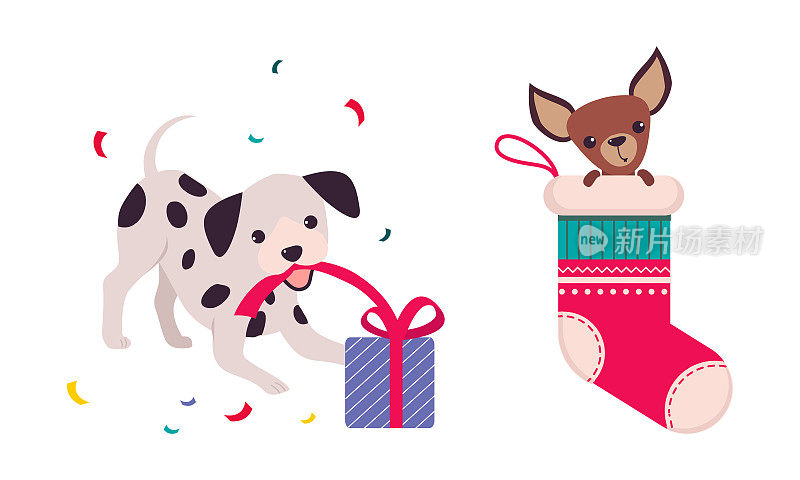 不同品种的可爱的狗玩礼品盒和坐在圣诞袜向量集