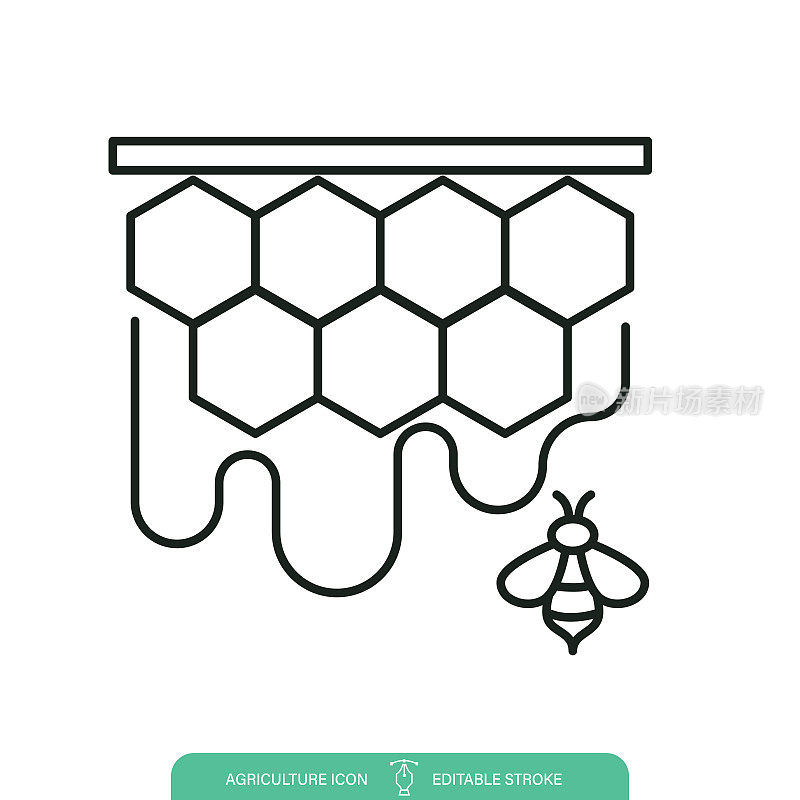 蜂房蜂巢蜂农业线图标在一个透明的背景