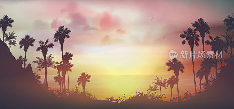 热带海滩上的日落，棕榈树成排
