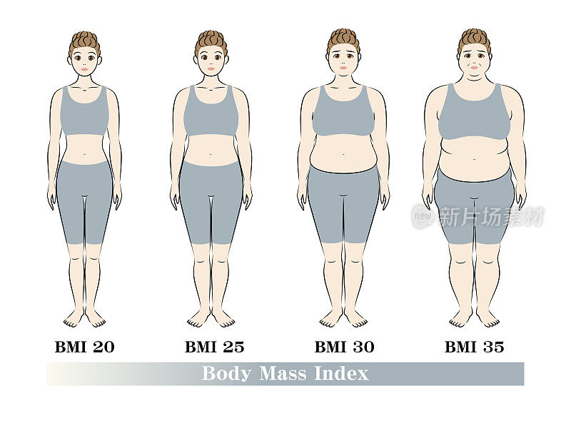 胖女人减肥前后。饮食前后。根据BMI指数，年轻女性的体型变化。插图。向量。