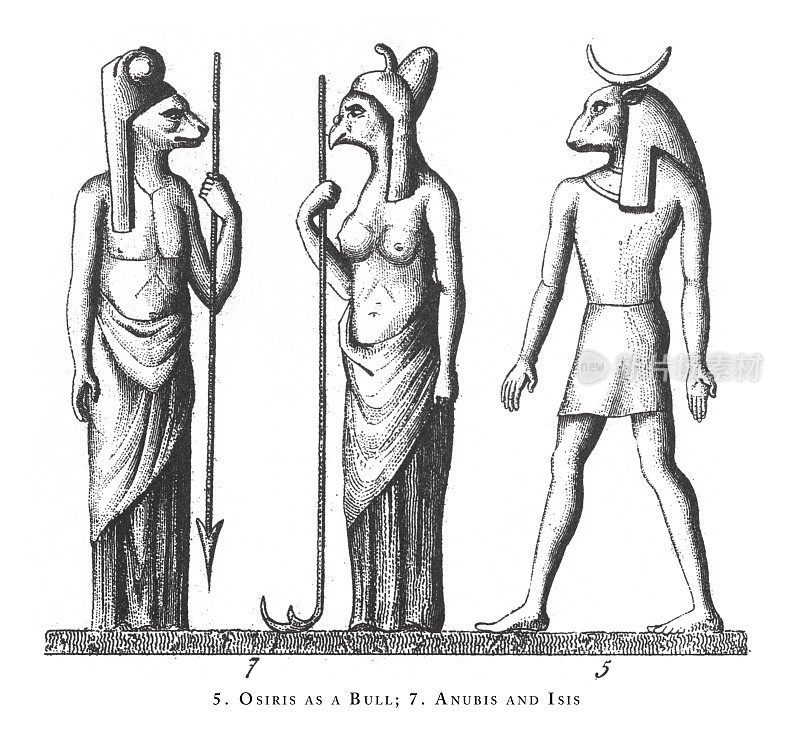 奥西里斯作为公牛，阿努比斯和伊希斯:神秘的游行:埃及宗教符号和舞台雕刻古董插图，出版1851年