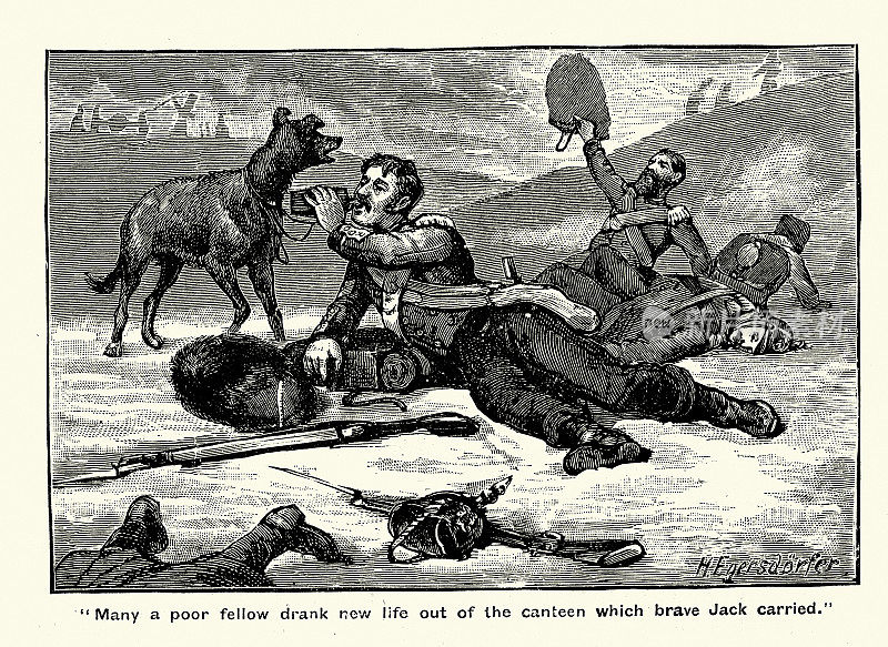 19世纪克里米亚战争中，英国军队的吉祥物，给口渴的士兵送水的狗