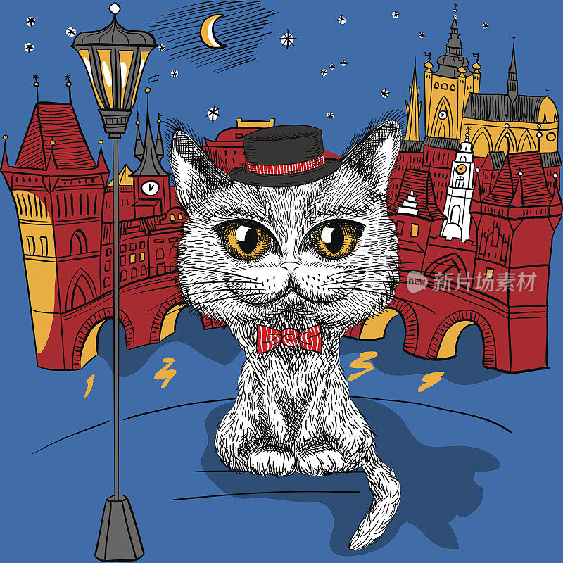 布拉格的猫，布拉格城堡和查尔斯桥