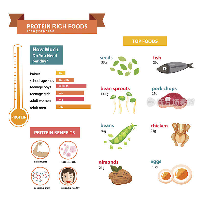 富含蛋白质的食物信息图表