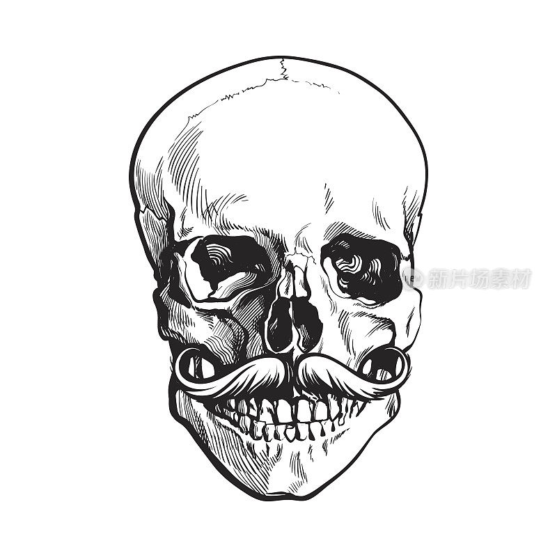 手绘的人类头骨，上面卷曲着时髦的小胡子