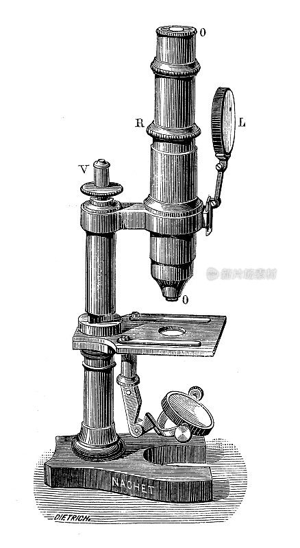 古董插图:显微镜