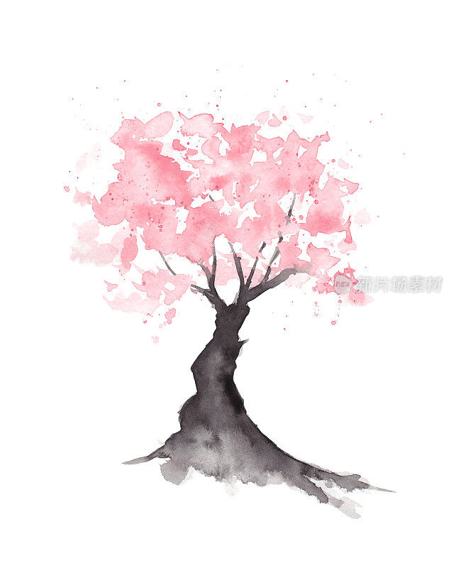 樱花樱花树-原画水彩画