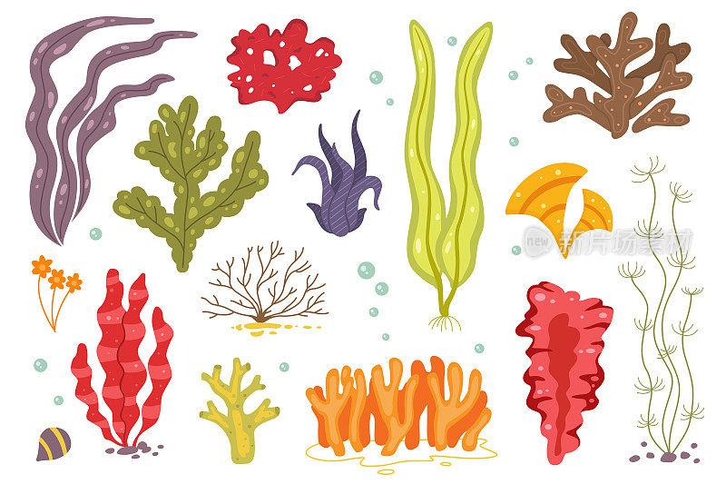 矢量海藻图标孤立在何处。海珊瑚和水下海洋植物。小球藻、螺旋藻、黑角藻等。