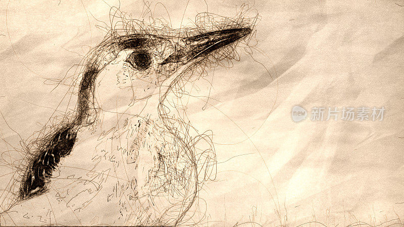 好奇的红腹啄木鸟在树枝上的轮廓草图