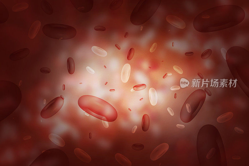 红血球流经动脉