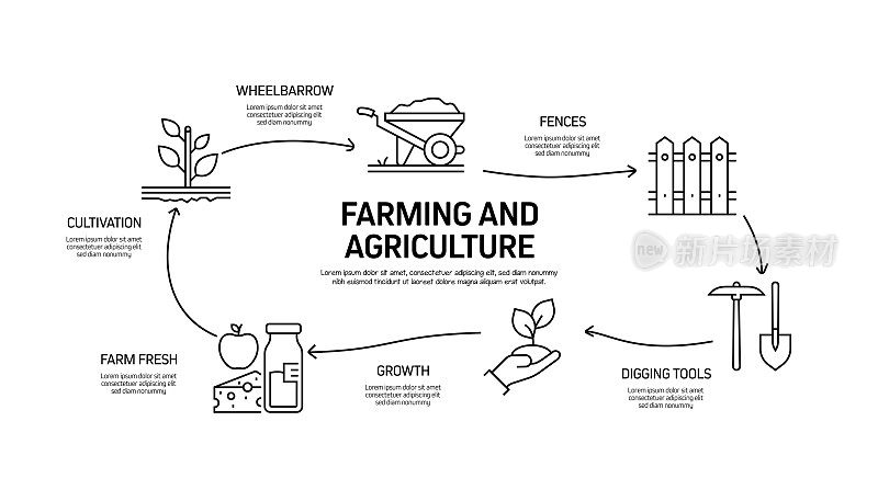 农业和农业相关过程信息图模板。过程时间图。带图标的工作流布局