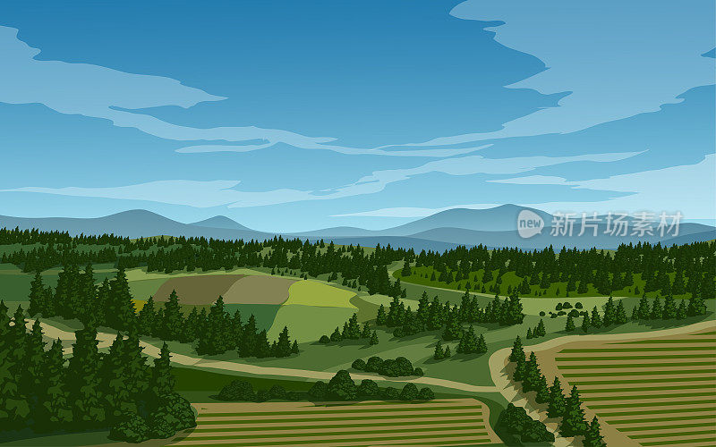 乡村景观与针叶林和农田在空中视图