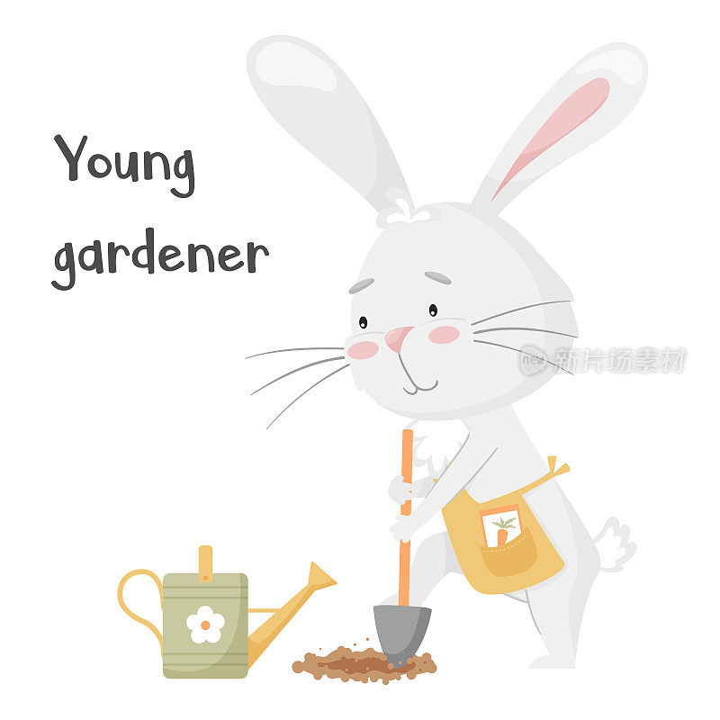 可爱的小兔子，用铲子挖土，种胡萝卜。小兔子园丁。可爱的动物，色彩柔和的人物。用于卡片、衣服、t恤印花。矢量插图在白色背景