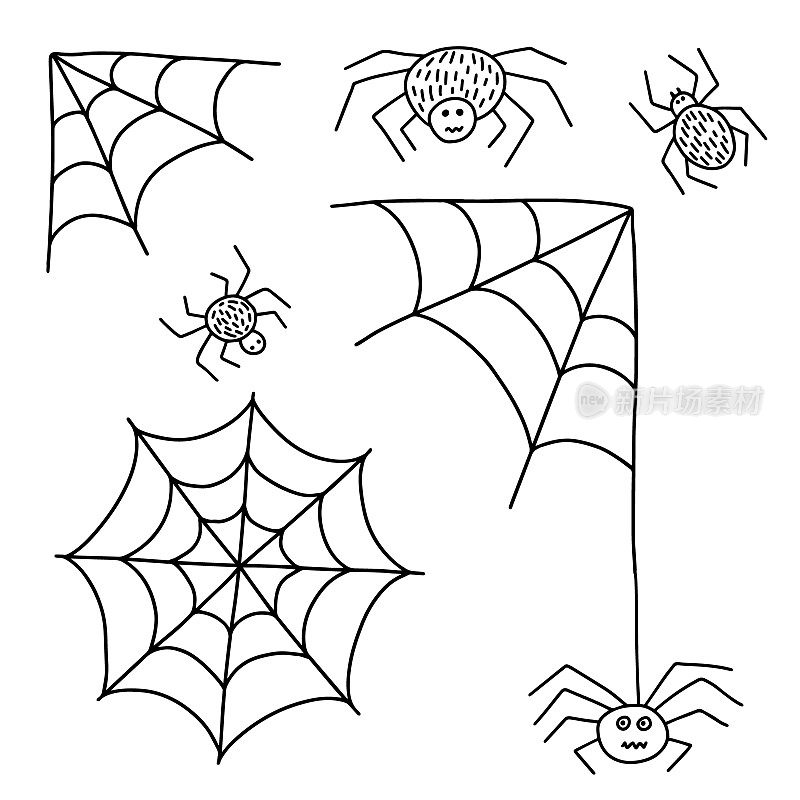 矢量蜘蛛网和蜘蛛集