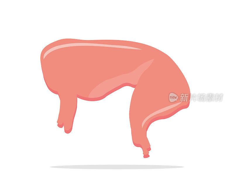 猪肉或兔肉，兔肉有机农场饮食肉。制备的兔肉吸烟载体的设计与插图。
