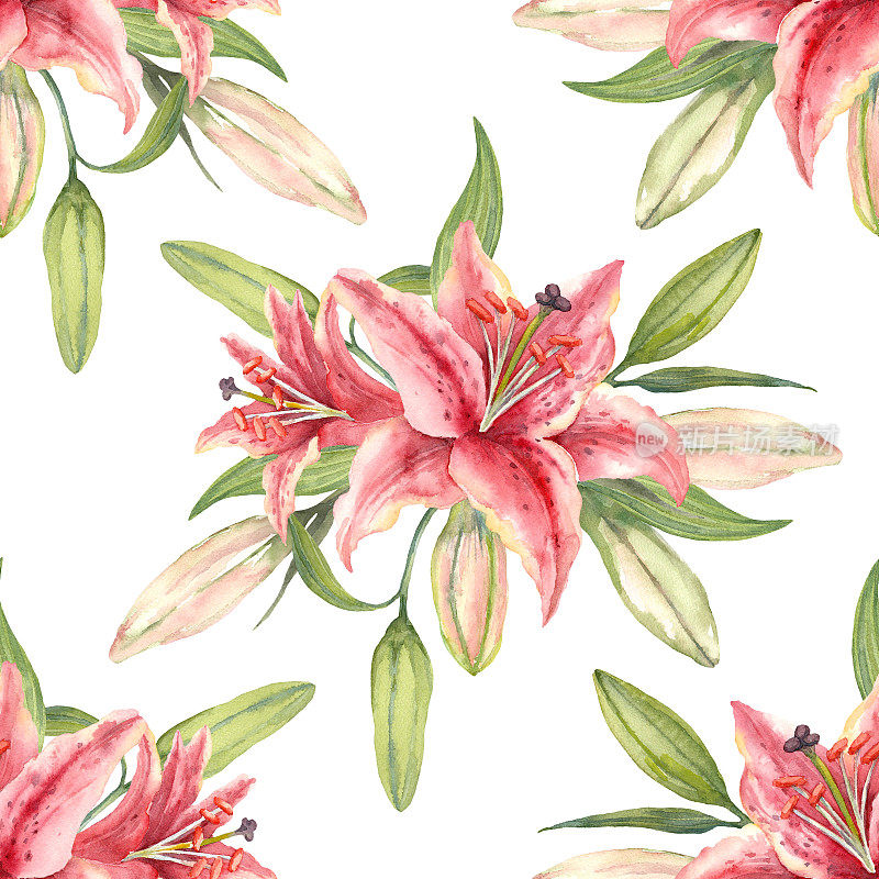 东方杂交百合。粉红色的百合花，叶和花蕾。水彩无缝图案。手绘插图。