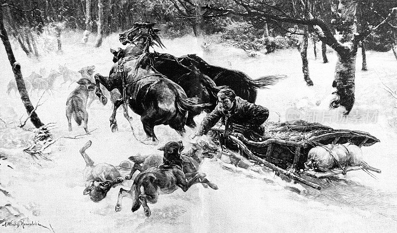 冬天坐雪橇时，危险的狼会袭击旅行者，还会被他们射杀