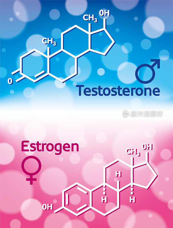 男性和女性荷尔蒙雌激素和睾酮化学分子式