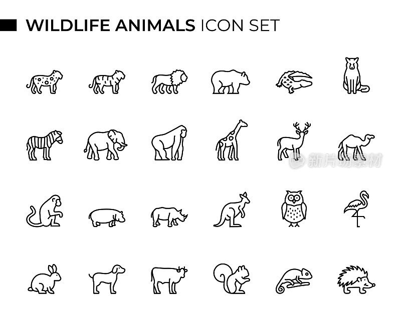 野生动物概念细线图标集包含诸如狮子，老虎，猎豹，熊，鳄鱼，狼，斑马，大象，犀牛，鹿，袋鼠，猴子，骆驼，长颈鹿等图标