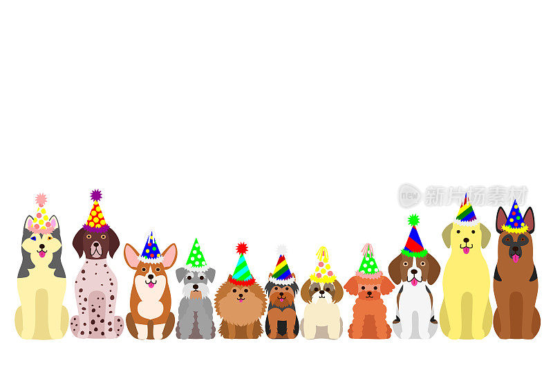 小型和大型狗边界设置彩色派对帽子