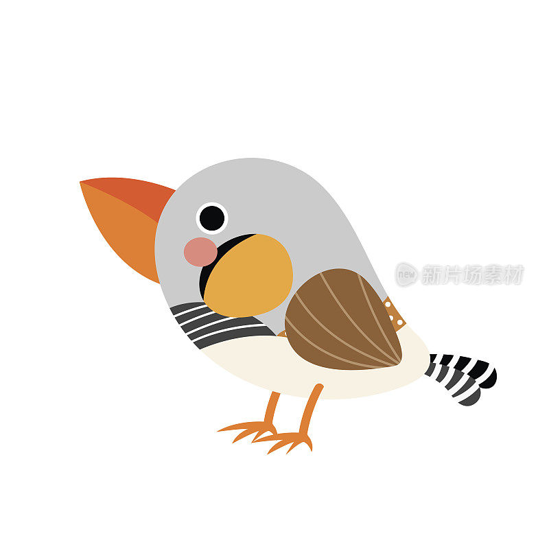 斑马雀鸟动物卡通人物矢量插图。