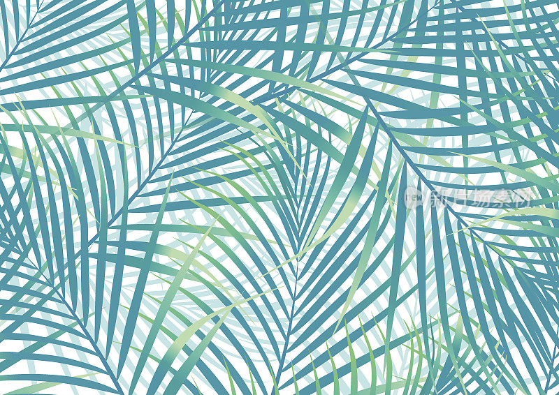 绿色和蓝色的棕榈叶背景