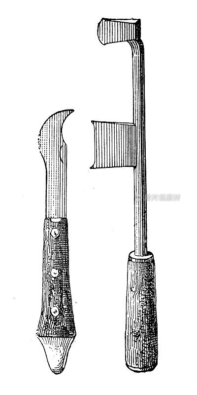 古董插图:嫁接刀工具