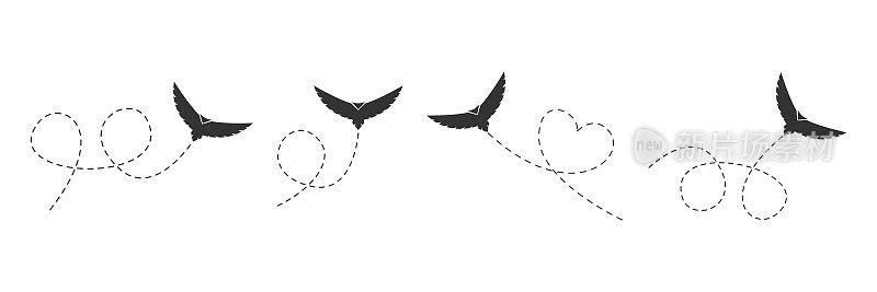 会飞的鸟。黑鸟在星罗云布的航线上飞翔。