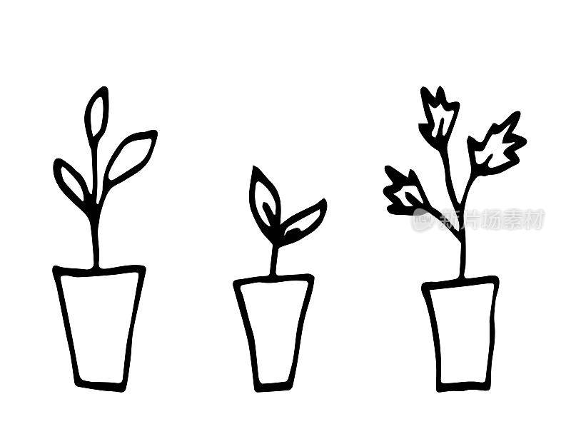 花园幼苗在泥炭盆，种植植物，蔬菜作物。简单的黑色轮廓矢量绘图。草图在墨水。