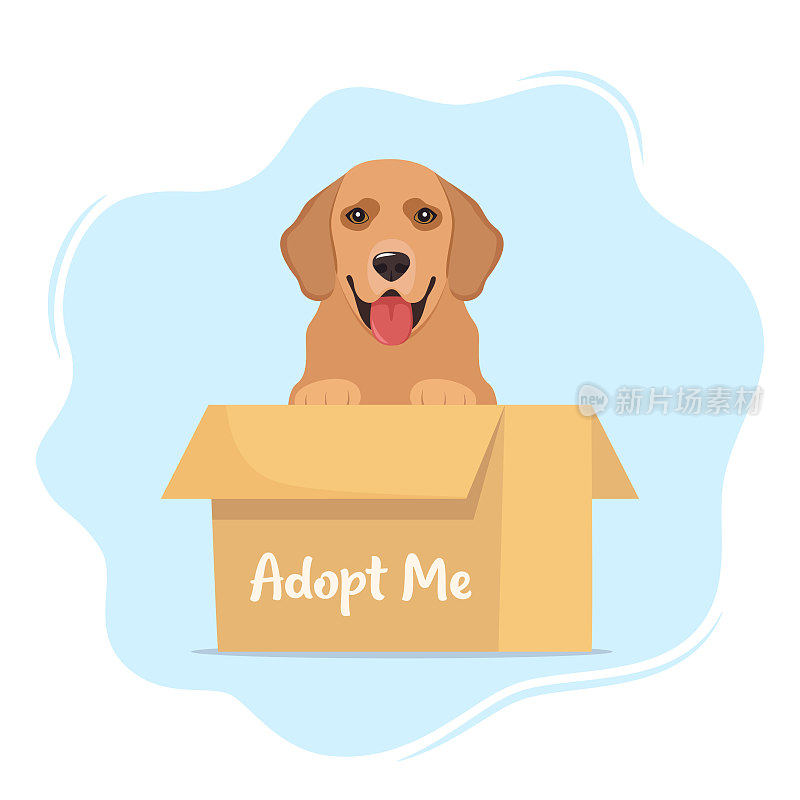 装在纸板箱里的可爱小狗，上面写着“收养我”。领养一只宠物。可爱的无家可归的小狗，等着被收养。动物收容所海报的矢量插图。