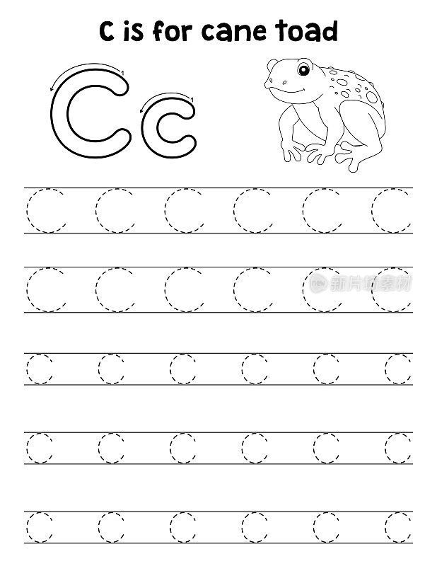 甘蔗蟾蜍动物描摹字母ABC着色C