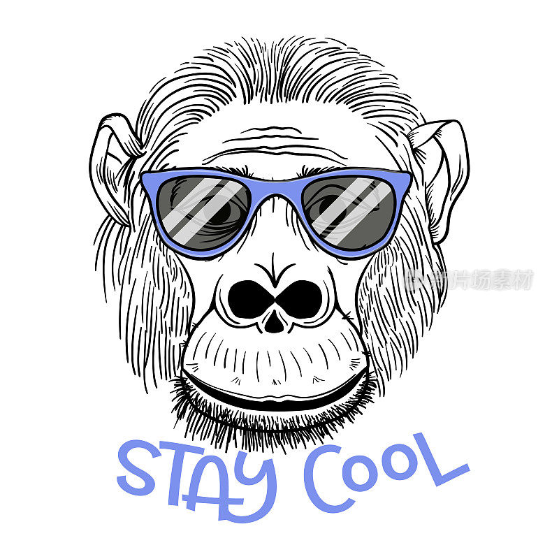 矢量插图。戴有色眼镜的猴子画像。保持冷静——字母引用。海报、t恤构图、手绘风格印花。