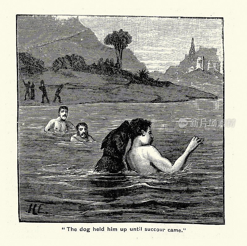19世纪维多利亚时代，一只狗在河里救一个溺水的人，复古插图