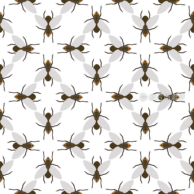 苍蝇昆虫野生昆虫学昆虫动物自然甲虫生物学嗡嗡图标矢量插图模式无缝背景