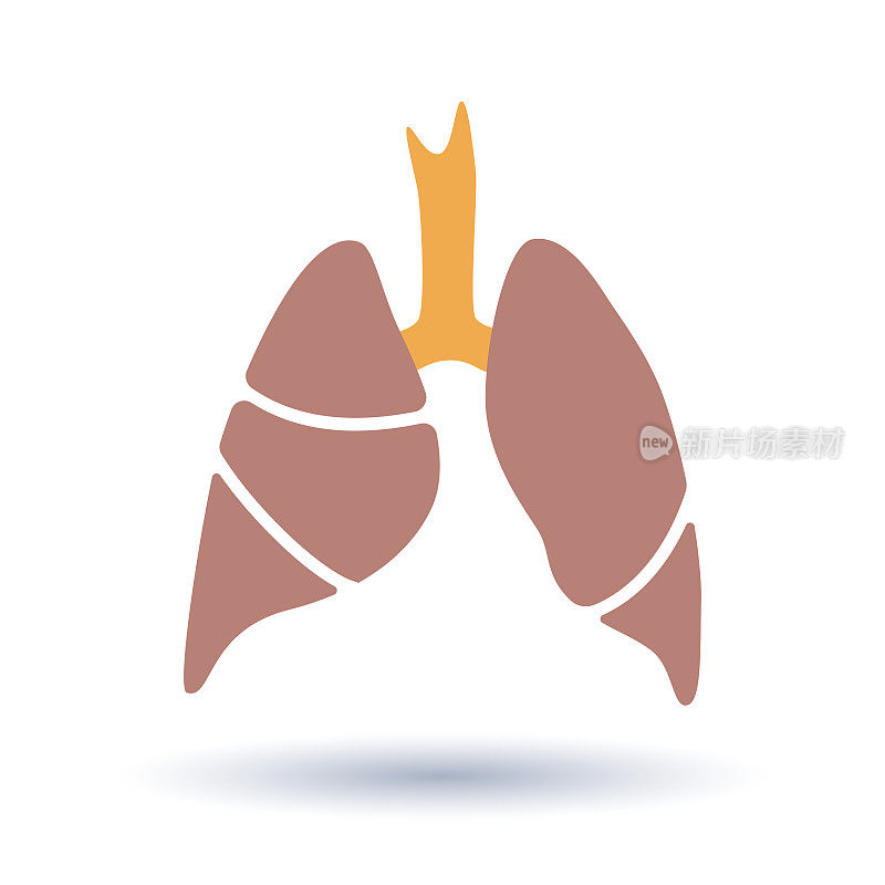 载体剪影人体器官-肺与气管的医学插图。诊所、医院的符号模板。象征哮喘、肺结核、肺炎。呼吸系统保健。